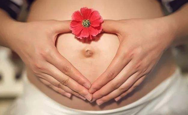 惠州供卵的条件,试管婴儿能怀孕吗
