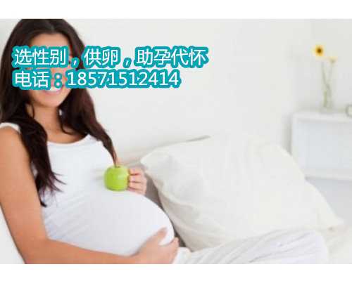 惠州供卵生子中介,重庆试管婴儿技术如何