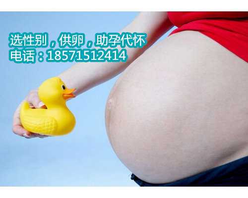 惠州供卵案例,泰国试管婴儿养囊胚的成功率高吗