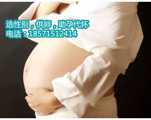 惠州借卵试管咨询,晚育还能怀上孩子吗