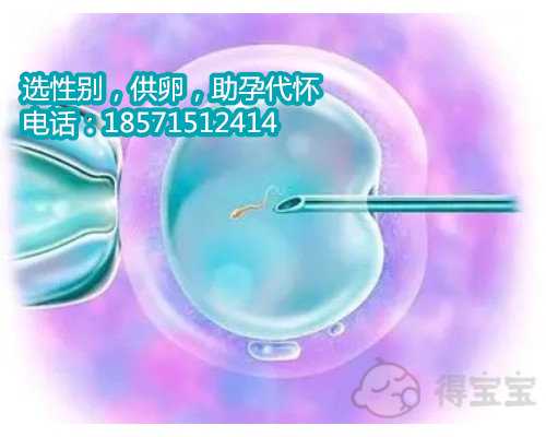惠州供卵试管排队,不孕发病率达18%