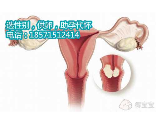惠州供卵医院地址,试管婴儿胚胎移植后感冒了怎么办