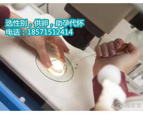 惠州哪里供卵靠谱,成都试管婴儿技术介绍