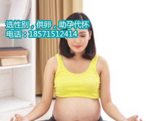 惠州借卵自孕,出生公证如何办理
