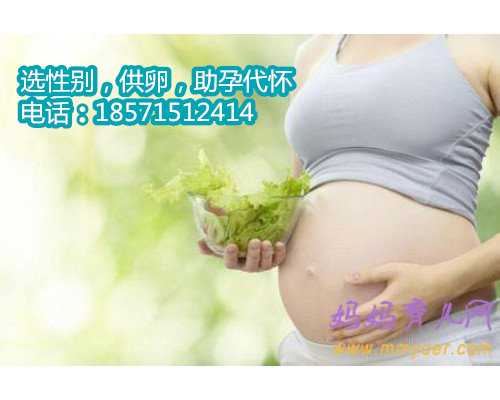 惠州供卵试管技术,揭秘：提高美国试管婴儿成功率的4大核心技术