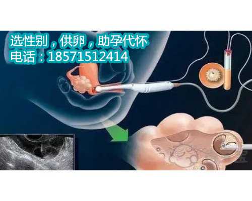 惠州供卵高端机构,北京试管婴儿医院术前身体准备