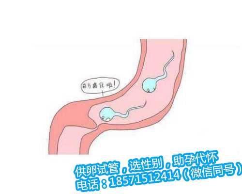 惠州供卵试管案例,子宫内膜薄厚去海外做试管婴儿助孕会有影响吗