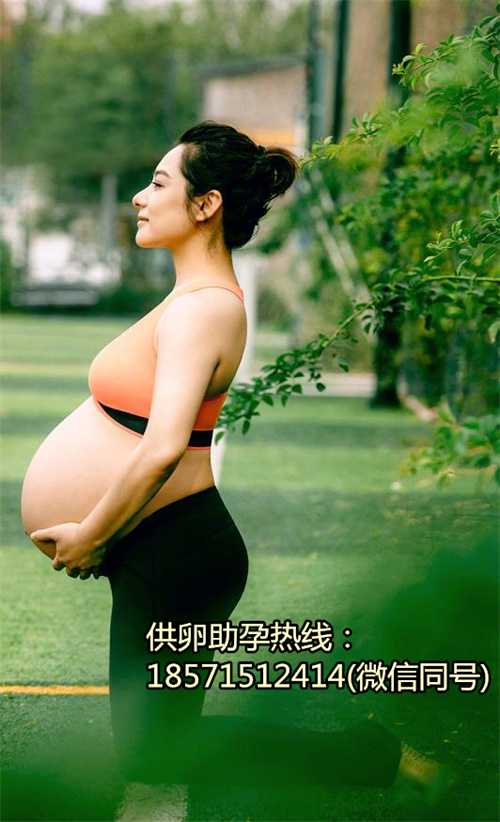 惠州正规代殖孕价格,第三代试管婴儿优点是什么