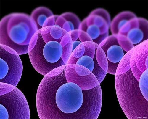 探寻生命奇迹：试管助孕与辅助生殖的全面解读