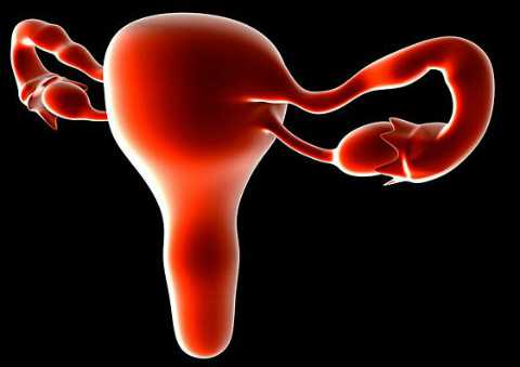 卵巢囊肿成因解析：12岁少女卵巢囊肿是怎么引起的？