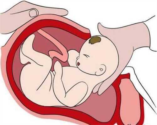 武汉代生子,孕妇贫血的危害，怎么调理恢复正常