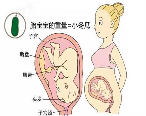武汉人工受孕,孕妇饮食保健 孕妇孕早期一定要多