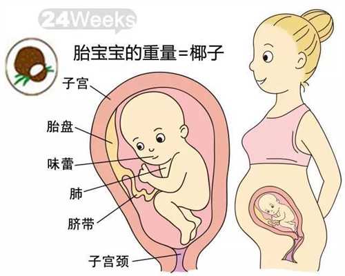 武汉人工受孕,孕妇饮食保健 孕妇孕早期一定要多