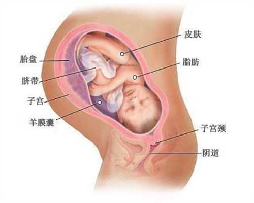武汉代孕生子,英国女子想流产，怀孕遭男友拳打