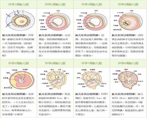 武汉中国最好的代孕机构_宝宝总吐奶怎么办介绍
