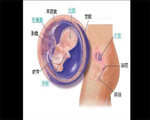 武汉代孕产子价格哪里最低_吃了紧急避孕药怀孕