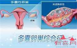 武汉代怀孕产子中心：成都世纪代怀孕简介_成都代怀孕成功率