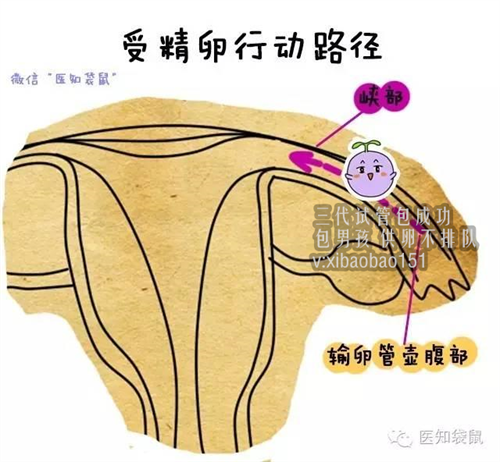 【上海借卵代生包男孩】试管婴儿和正常婴儿都一样，但做试管要付出的，远比