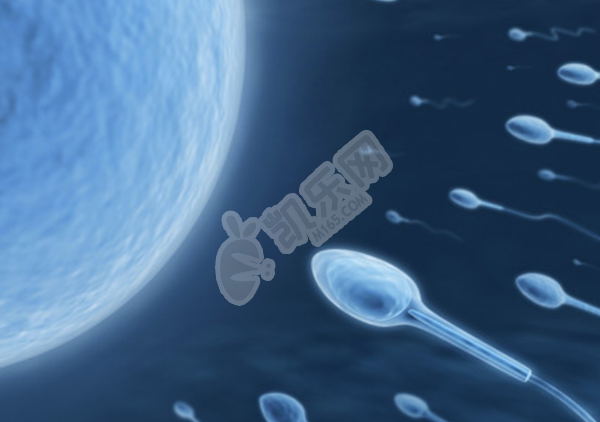 专业不孕不育代生机构，受精卵是怎么发育成胚胎的