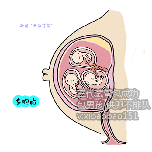 惠州供卵机构联系,试管婴儿男性怎么取精子(泰国试管婴儿男方取精要做什么准